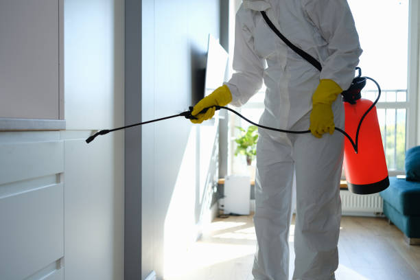 Best Professional Mold Removal  in Dandridge, TN